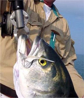 Bluefish spank cargo 1280x1024 nude computer wallpapers